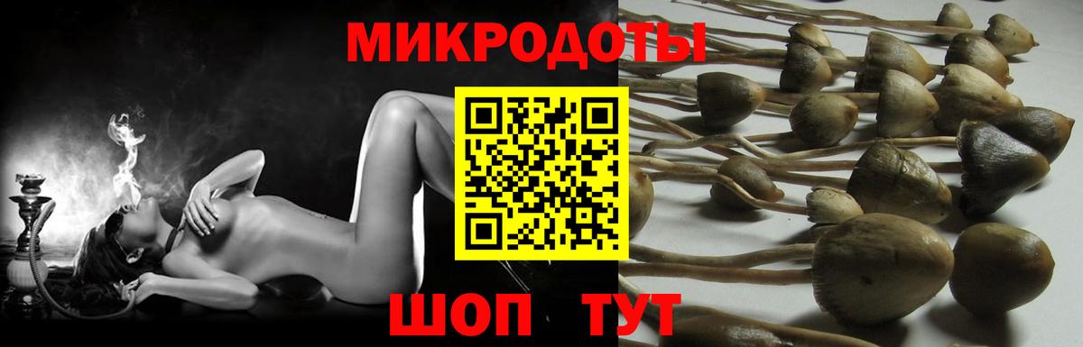 Галлюциногенные грибы MAGIC MUSHROOMS Туймазы